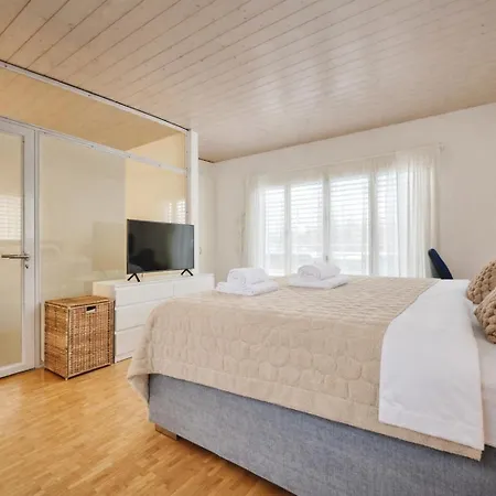 Alpehytte In Thun, Modern, Spacious, Perfect Location *